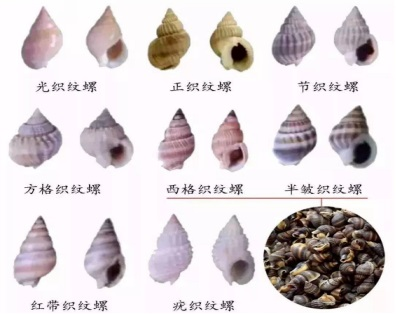 image-1682920783329