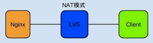 image-1691376643897